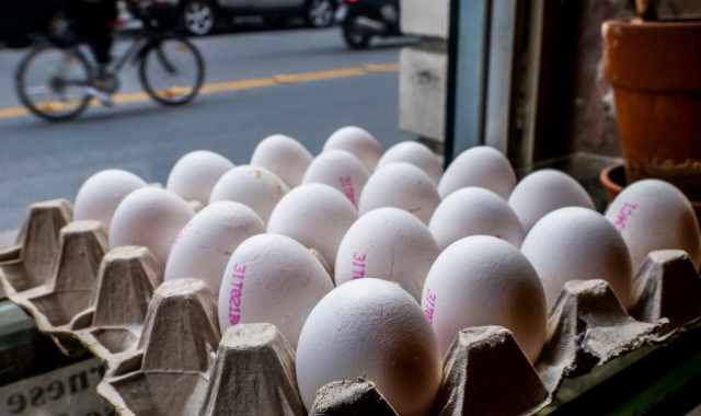 Gli "ovaioli" di Bari: Bianche o rosse, le nostre uova arrivano da pollai non intensivi